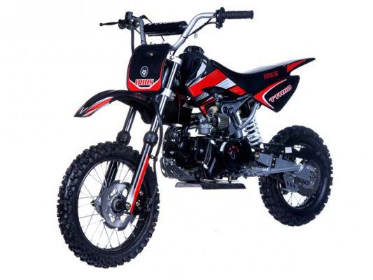 Фото мотоцикла IRBIS TTR110